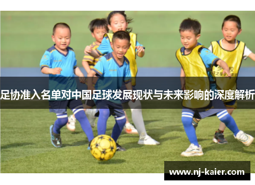 足协准入名单对中国足球发展现状与未来影响的深度解析